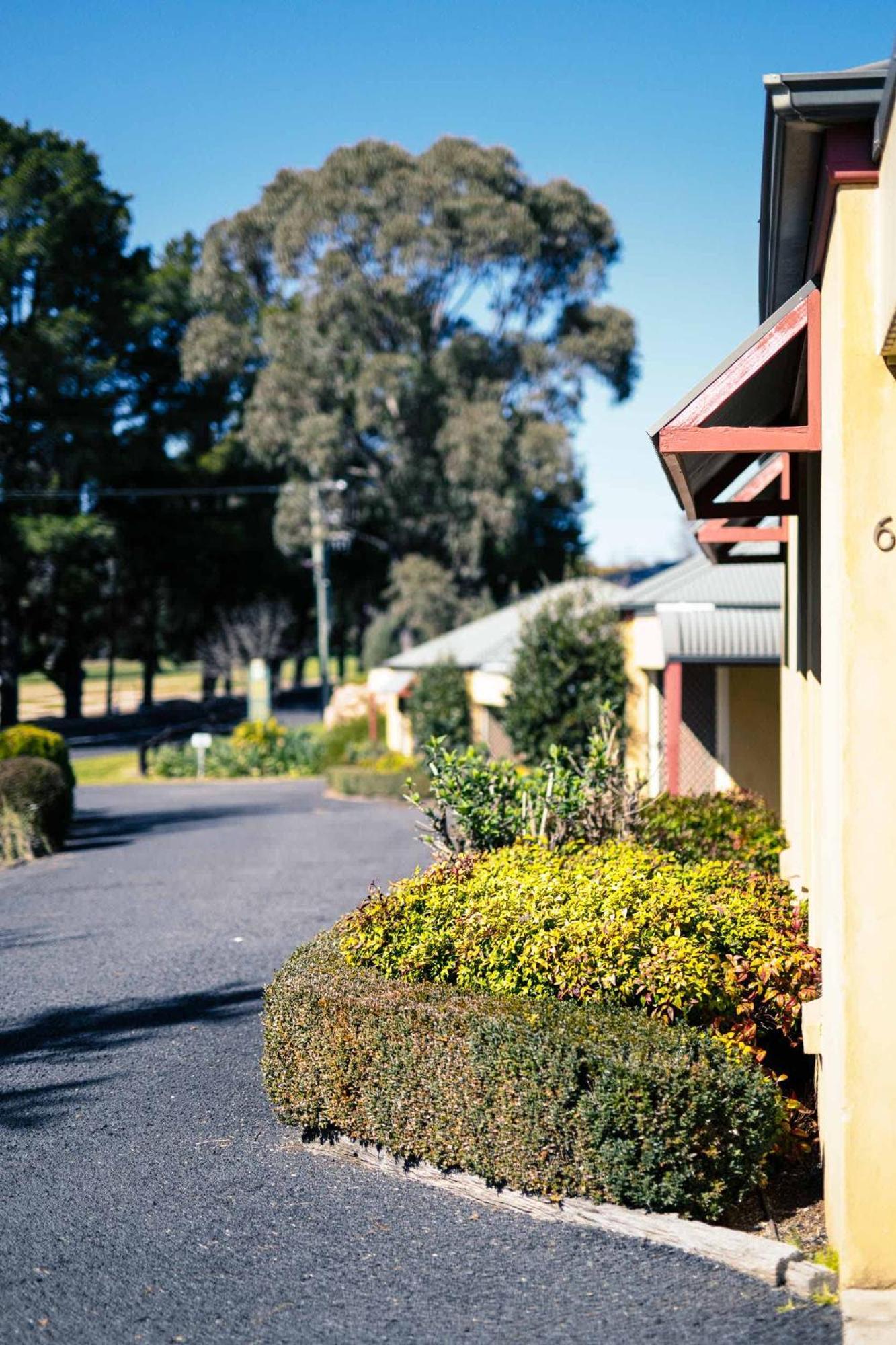 Melview Greens - * Orange
